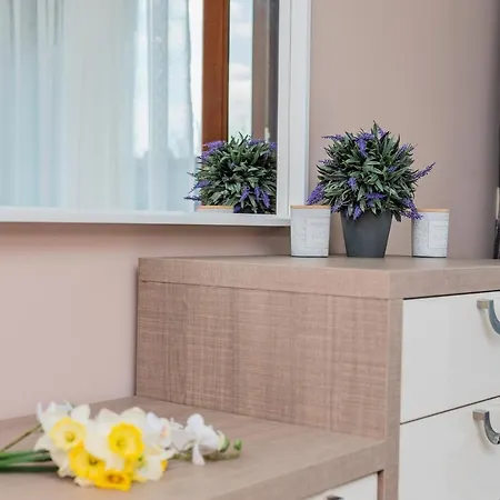 Comfy Luxury Center *